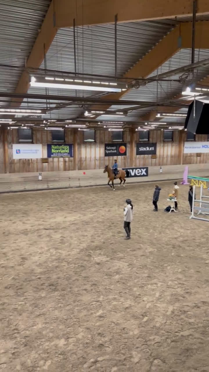 Hoppning hästar till salu: Redo för nästa nivå - måste upplevas! i Överhörnäs - Video 1