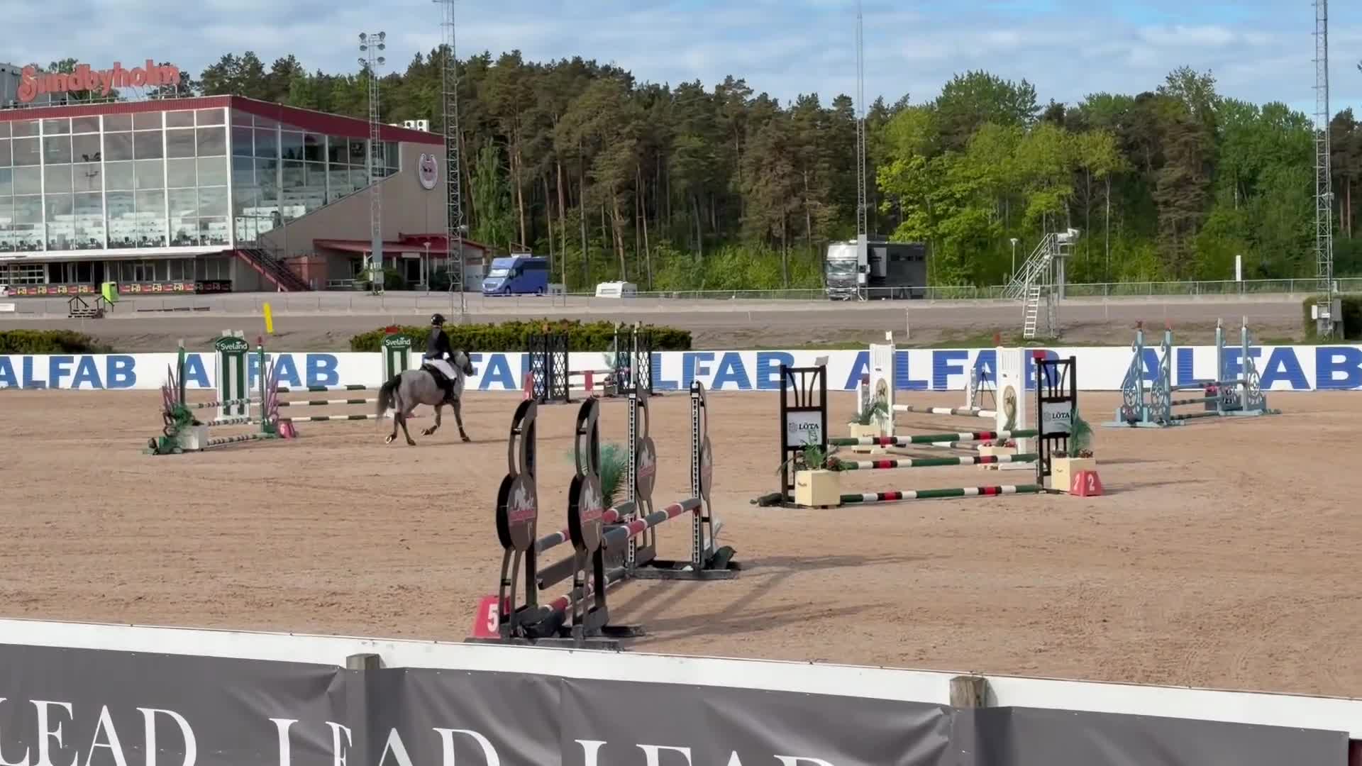 Hoppning hästar till salu: Lovande tävlingsponny med det största hjärtat i Köping - Video 3