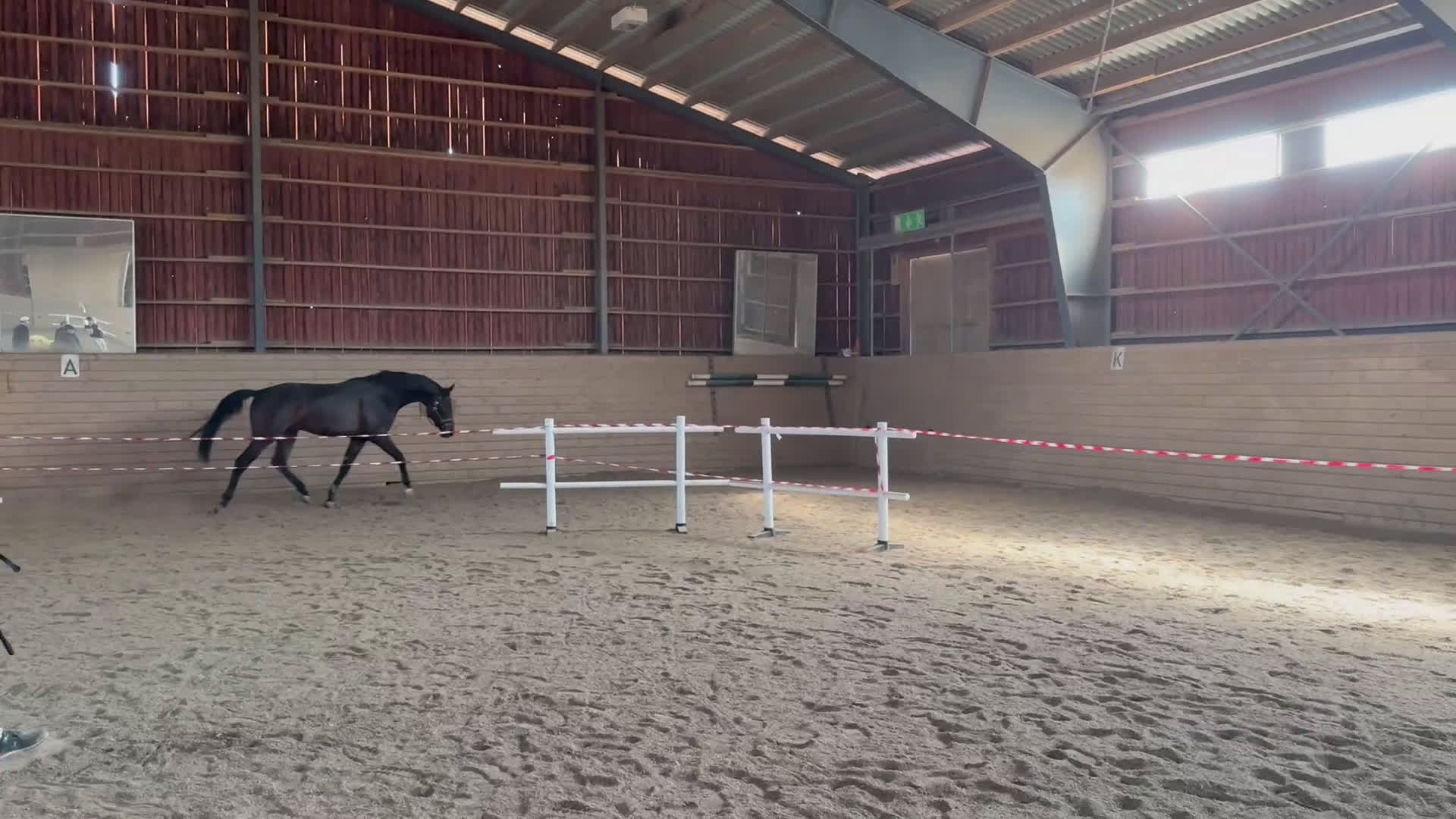 Dressyr hästar till salu: Underbar och reslig valack  i Runhällen - Video 1