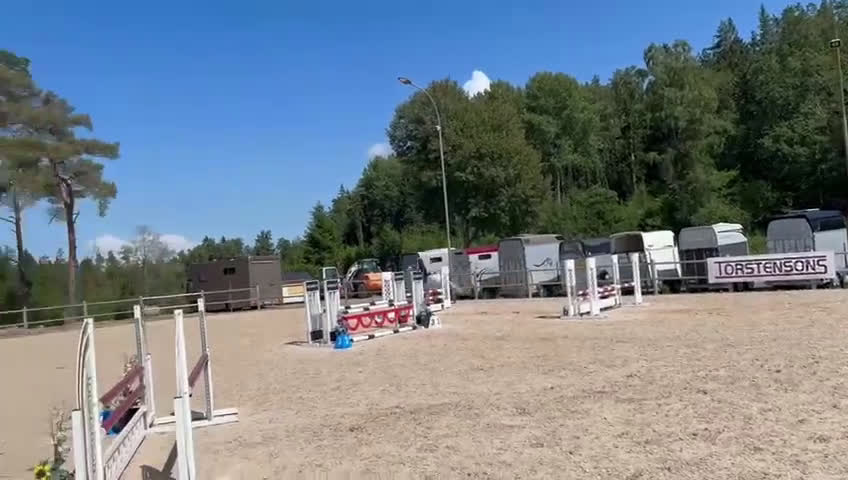 Hoppning hästar till salu: Drömponnyn Vera till salu! - Video 3