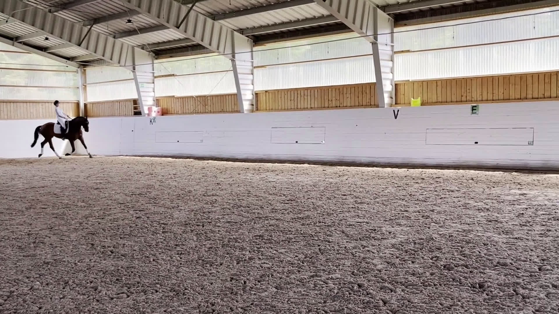 Dressyr hästar till salu: Dressyrhäst med utstrålning  i Linköping - Video 2