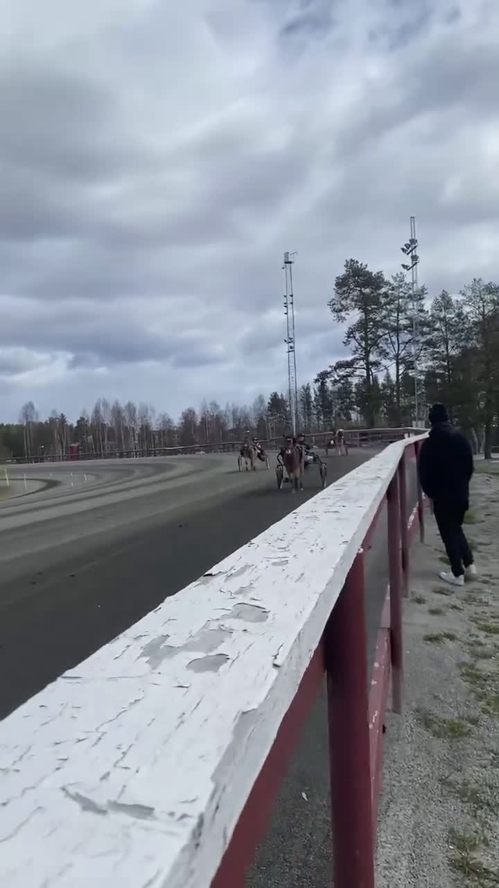 Trav hästar till salu: Mysig ponnytravare - Video 1