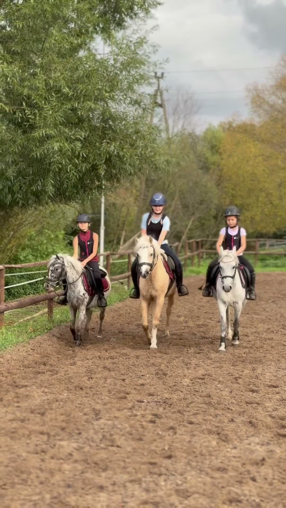 Hoppning hästar till salu: Jumping pony with special color - Video 1