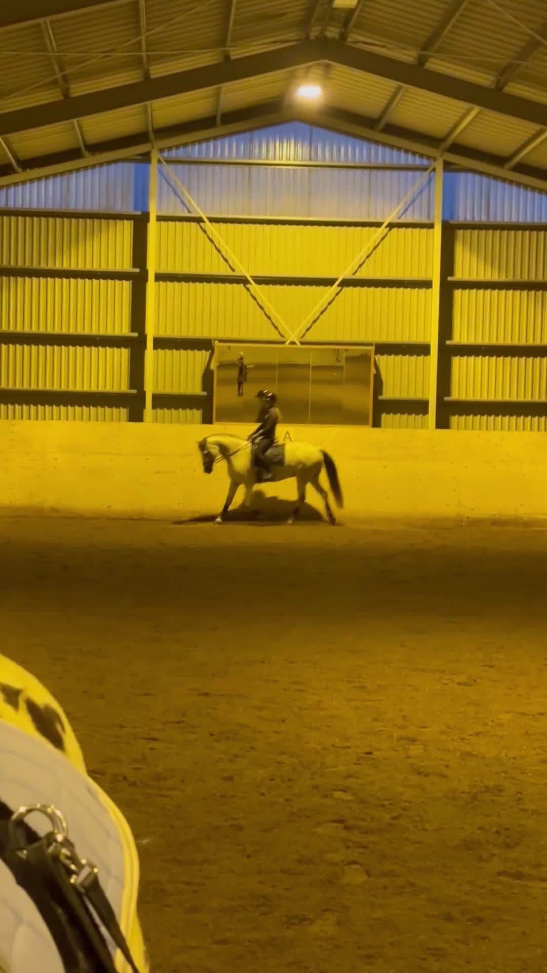 Allround hästar till salu: Fantastisk förstaponny och bästa vän - Video 2