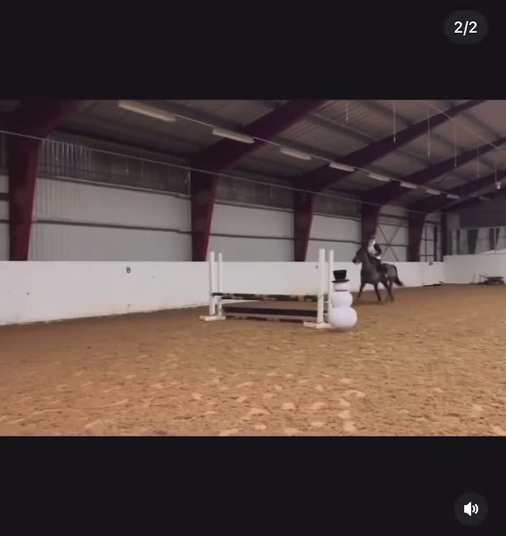 Allround hästar till salu: Bedårande ridtravare i Bro - Video 4