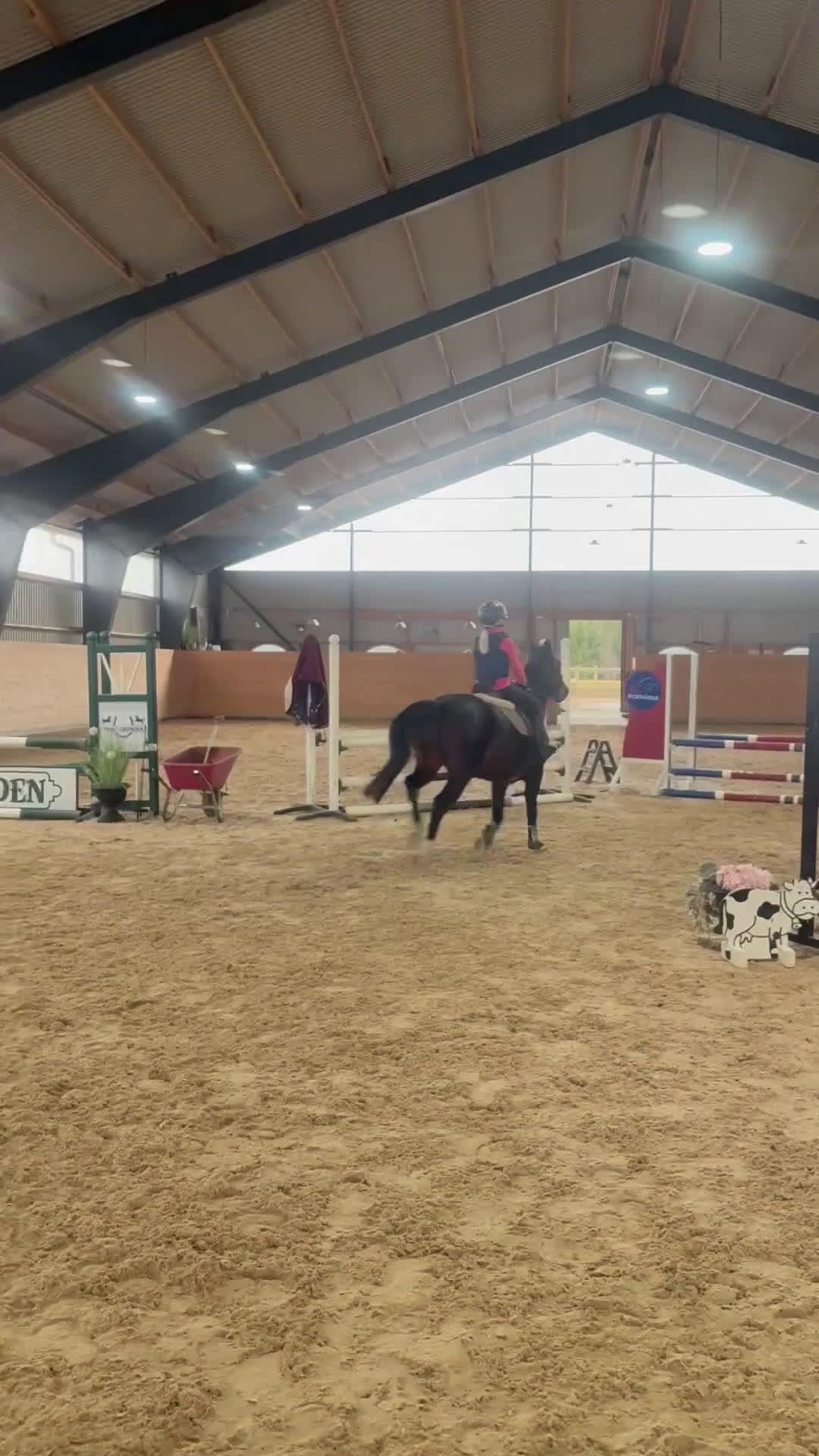 Hoppning hästar till salu: Guldponny i Lekeryd - Video 2