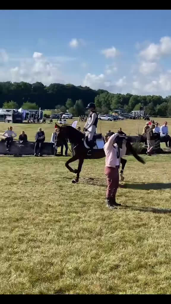 Dressyr hästar till salu: Multitalang!  i Södra Sandby - Video 1