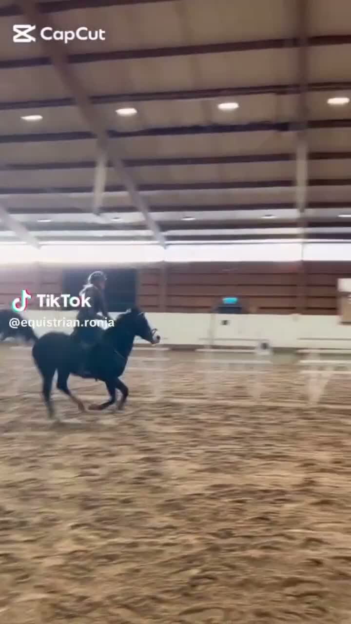 Hoppning hästar till salu: Tävlingsponny med kapacitet för det högsta - Video 2