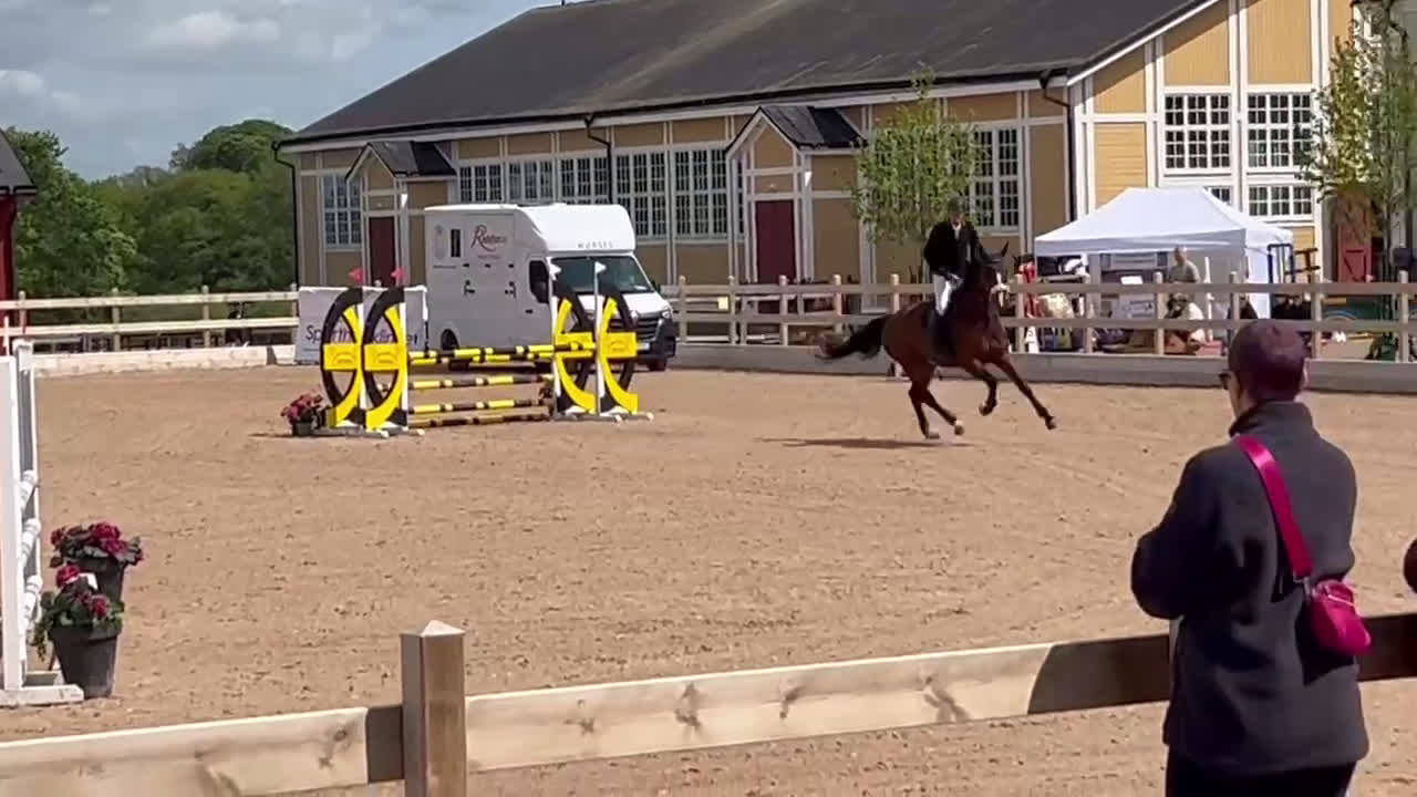 Allround hästar till salu: Fin hopphäst i Västerås - Video 3