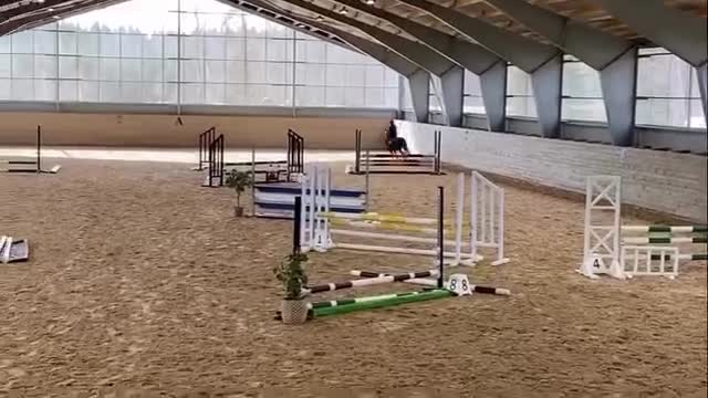 Allround hästar till salu: Söt welshponny  i Vingåker - Video 1