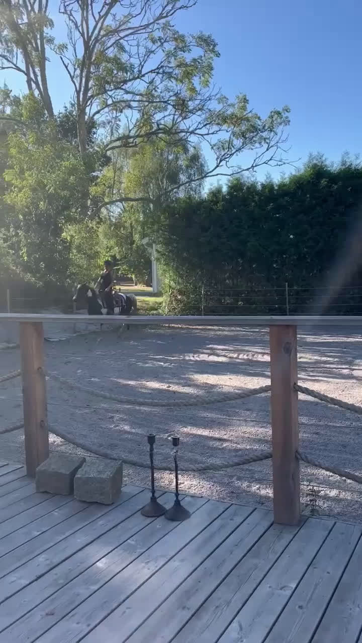 Övrigt hästar till salu:  arabkorsning - Video 3