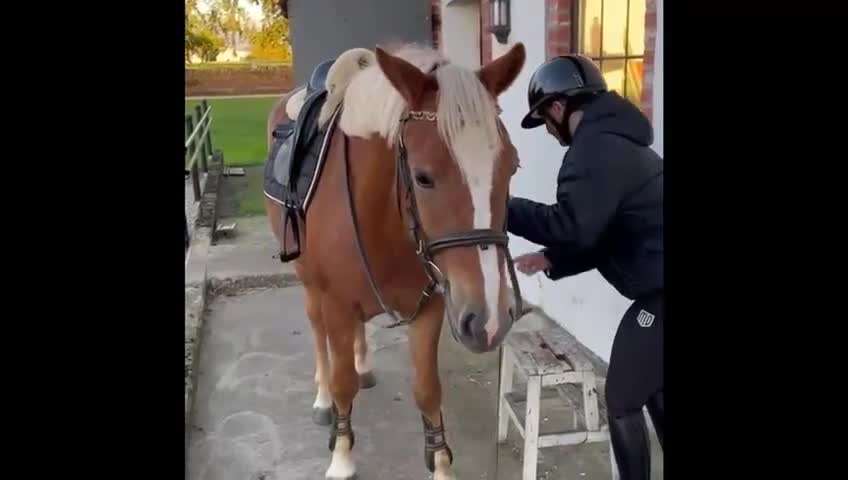 Allround hästar till salu: Trevlig 4 åring  - Video 2