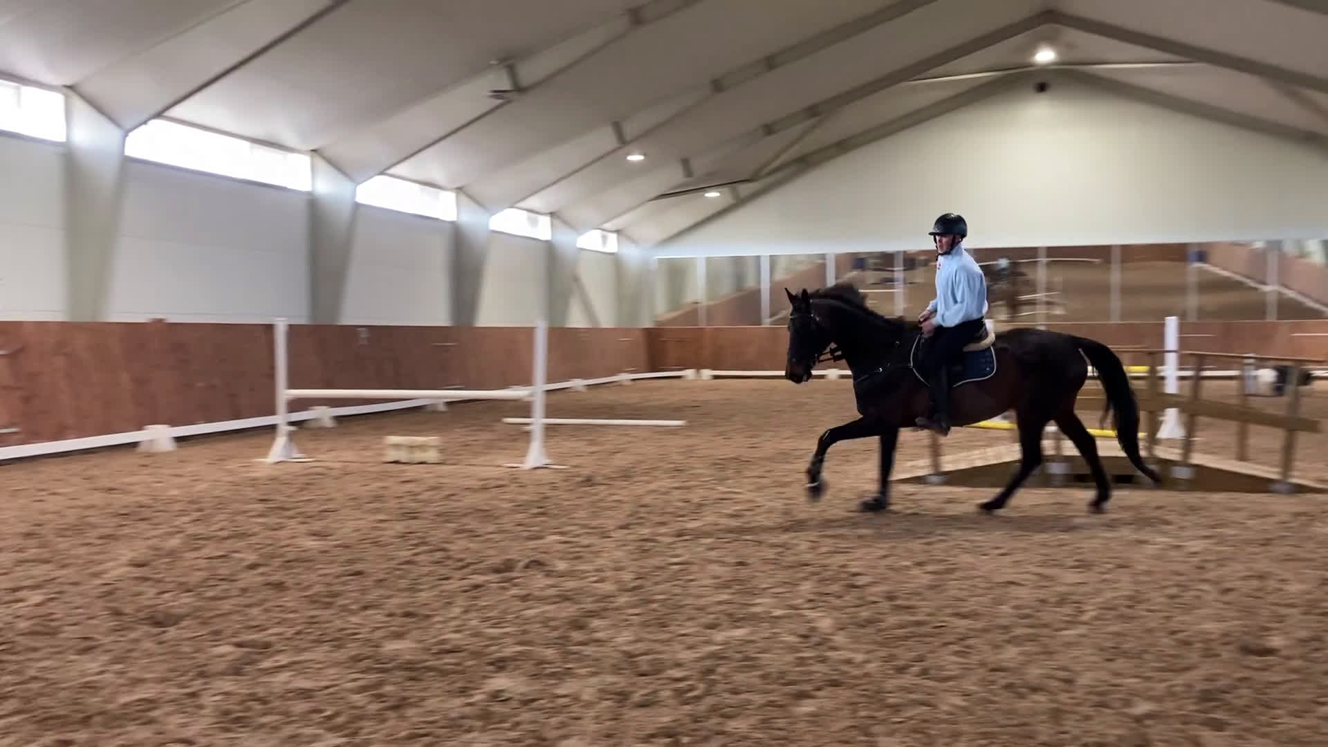 Hoppning hästar till salu: Fantastisk läromästare och bästa vän i Höör - Video 2