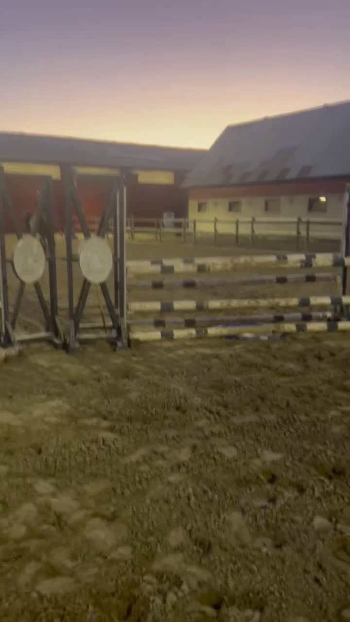 Allround hästar till salu: Världens bästa läromästare  i Lund - Video 3