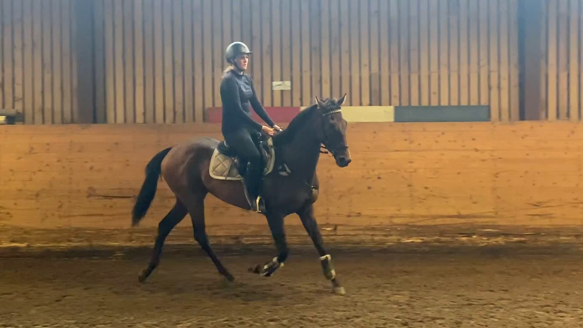 Allround hästar till salu: Vänligt sto som blir vad du gör henne till!  i Trollhättan - Video 2