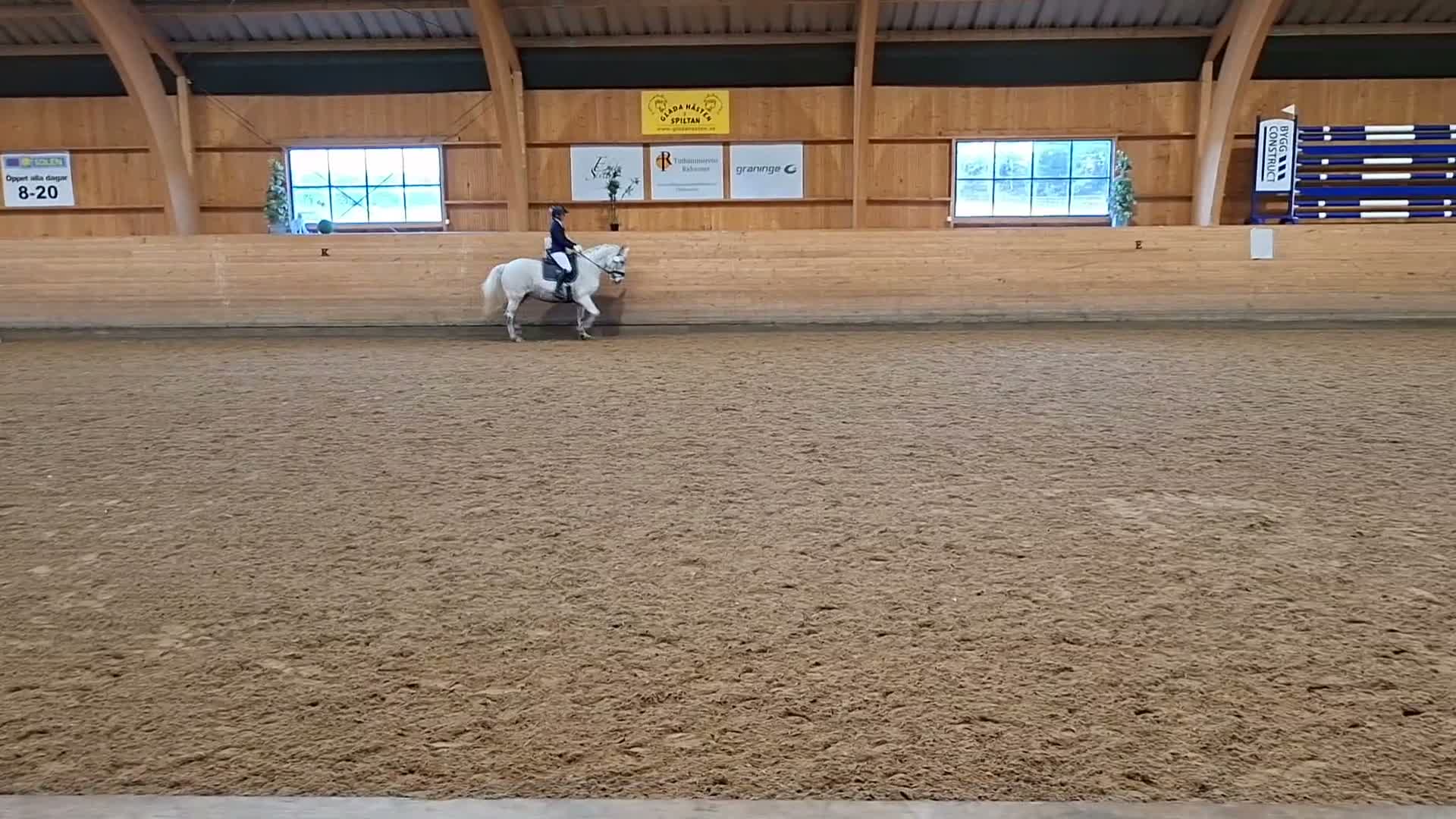 Allround hästar till salu: Pigg allroundponny - Video 3
