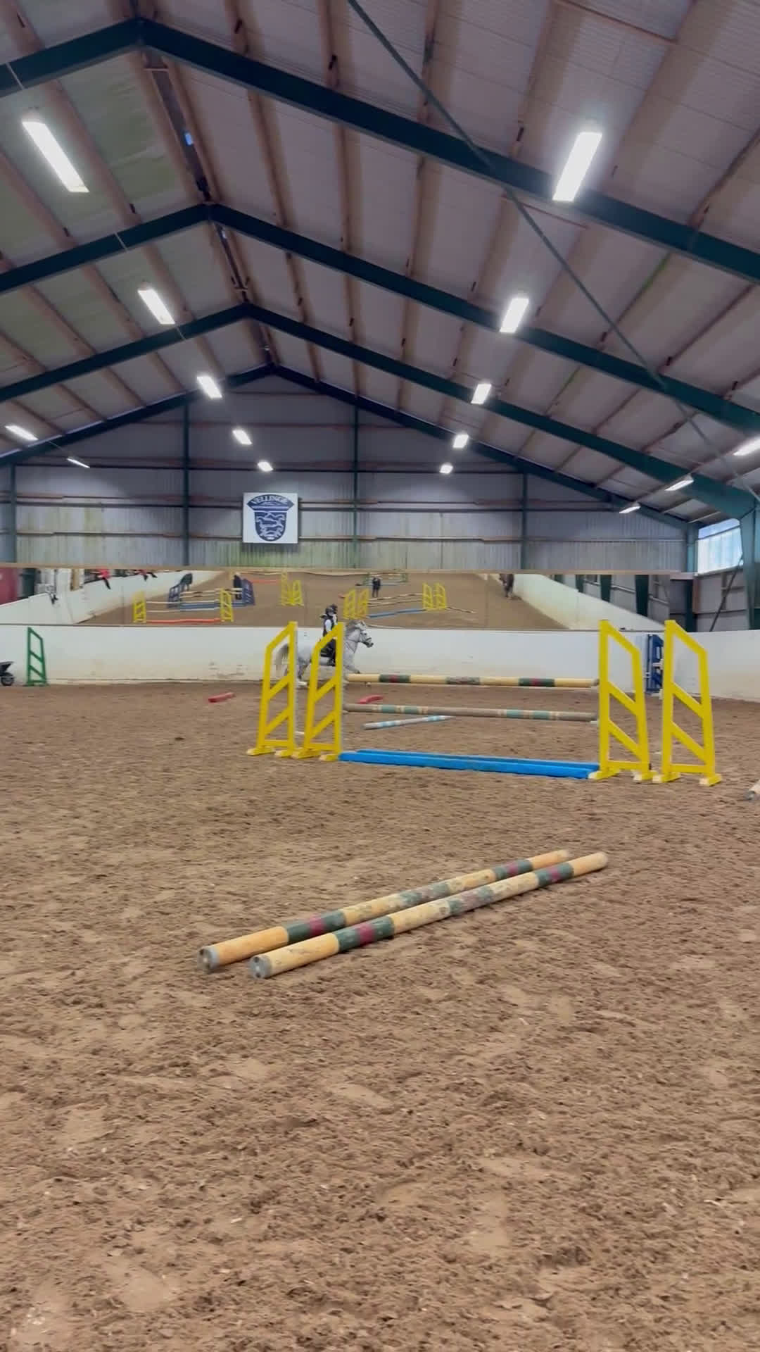 Hoppning hästar till salu: Trevlig tränings- och tävlingskompis - Video 1