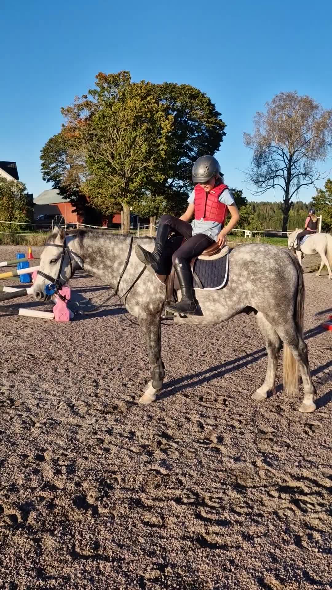 Allround hästar till salu: Underbar, C-ponny welsh valack  - Video 3