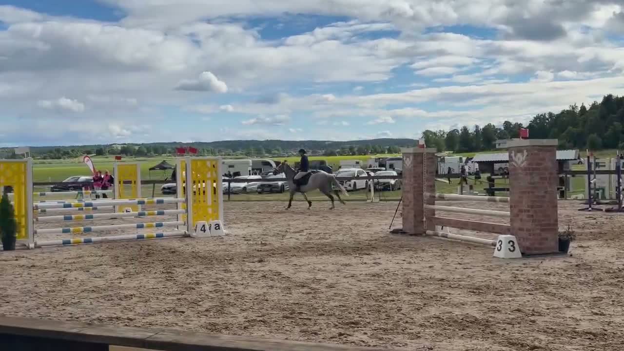 Hoppning hästar till salu: Talangfull connemara för framtiden - Video 2