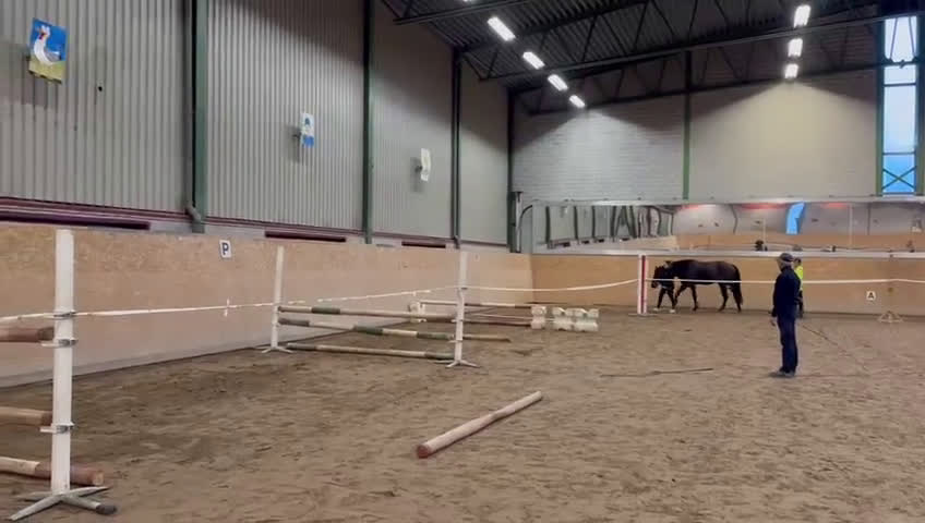 Hoppning hästar till salu: *Resarverad *uppdaterad* 3 årig valack i Båstad - Video 5