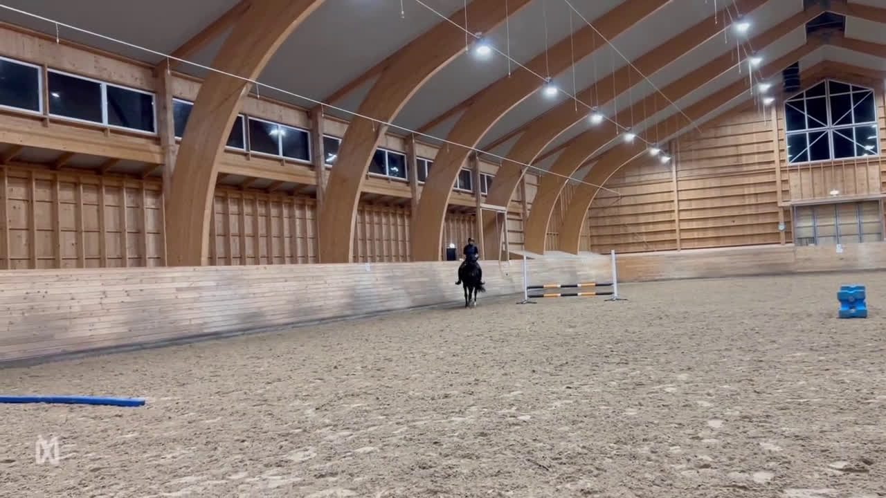 Dressyr hästar till salu: Flashigt SWB-sto - Video 1