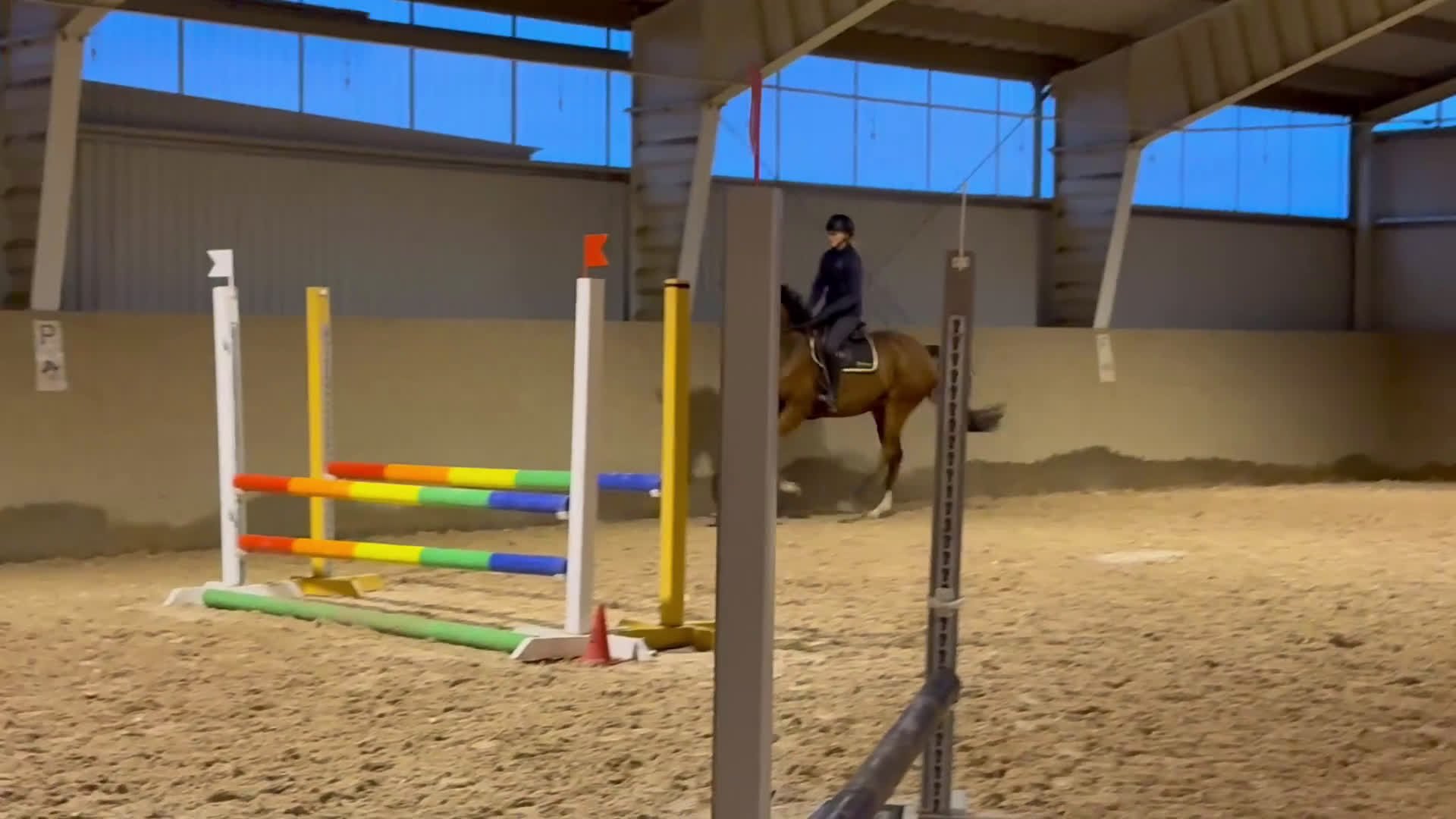 Allround hästar till salu: Vacker valack  i Eldsberga - Video 3