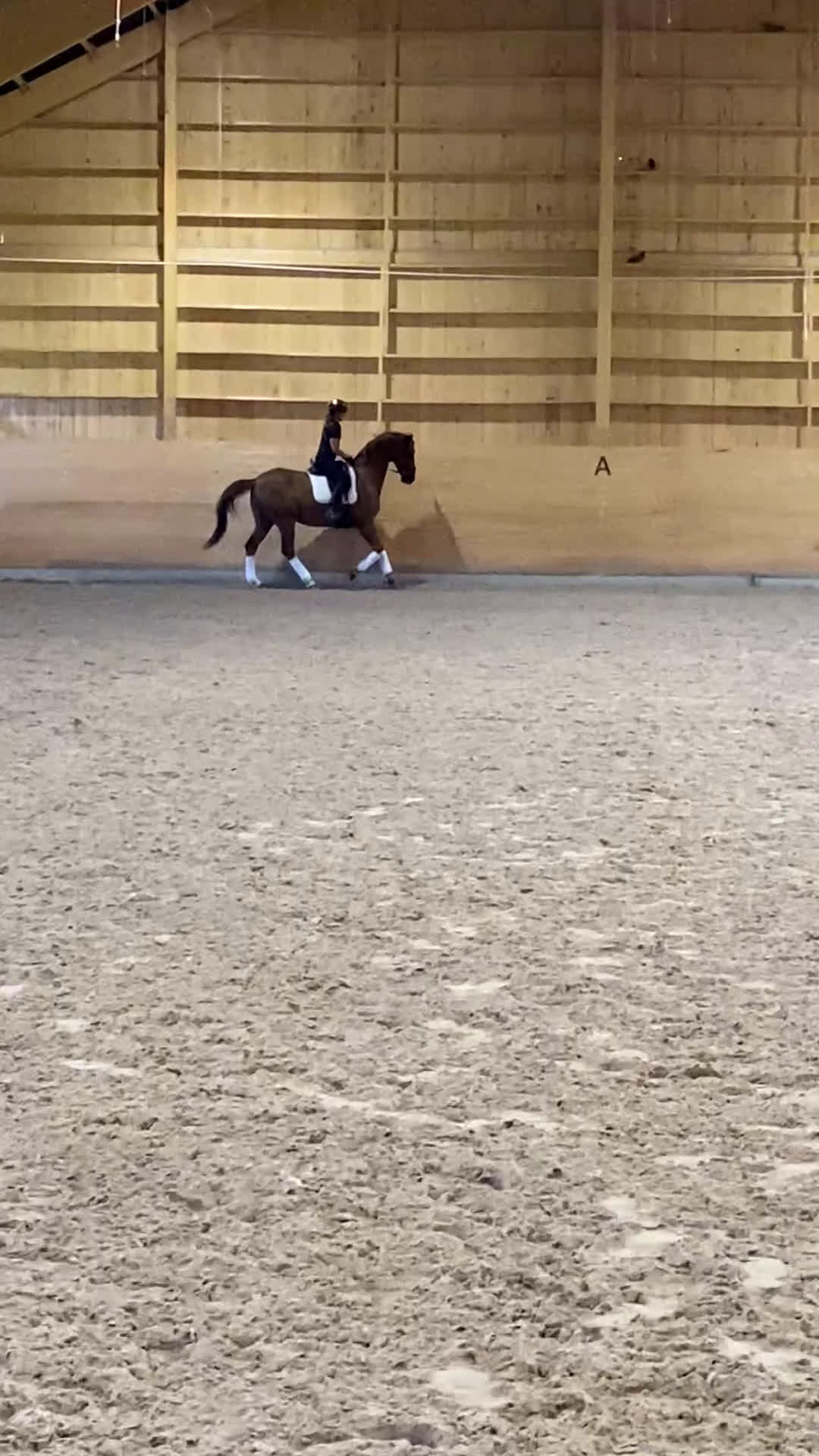 Dressyr hästar till salu: Läromästare U25 GP-häst med mästerskapsmeriter i Uppsala - Video 3