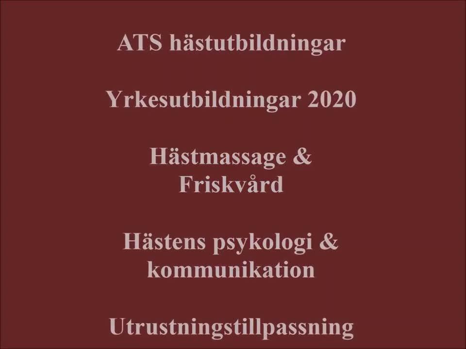  hästservice finnes: terapeut för häst  - Video 1