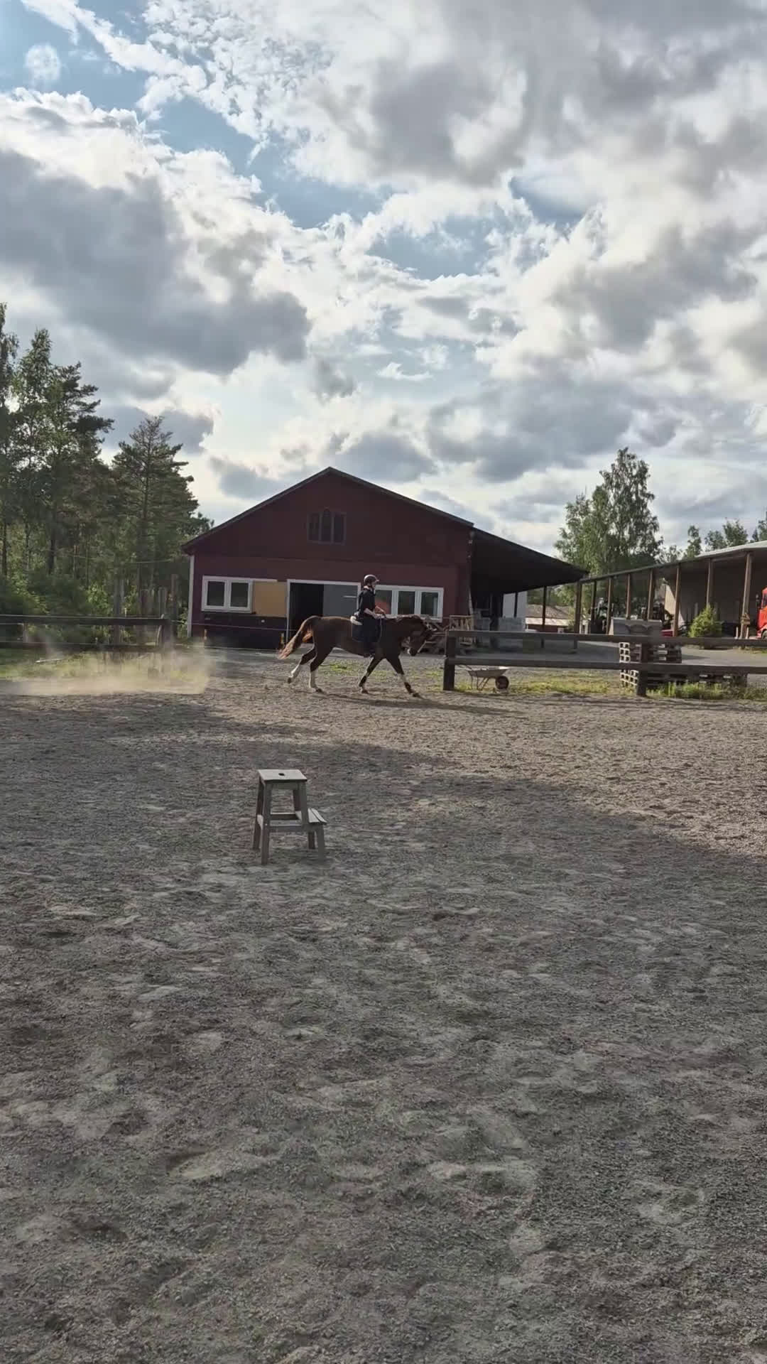 Allround hästar till salu: Snygg schysst valack i Fagerhult - Video 1
