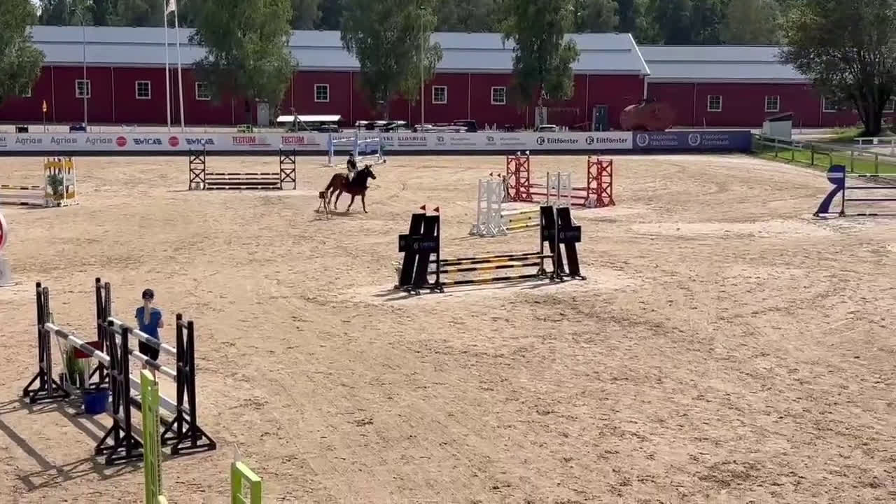 Hoppning hästar till salu: Trevlig Allroundponny  i Landsbro - Video 3