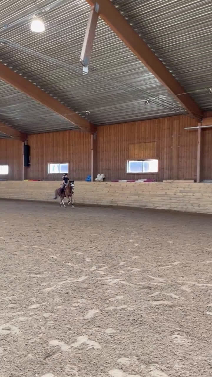 Allround hästar till salu: Maxad B ponny för framtiden🌟 i Flen - Video 2