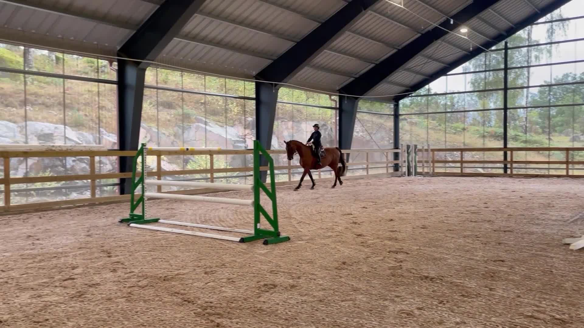 Hoppning hästar till salu: Hobby tävlings häst - Video 2