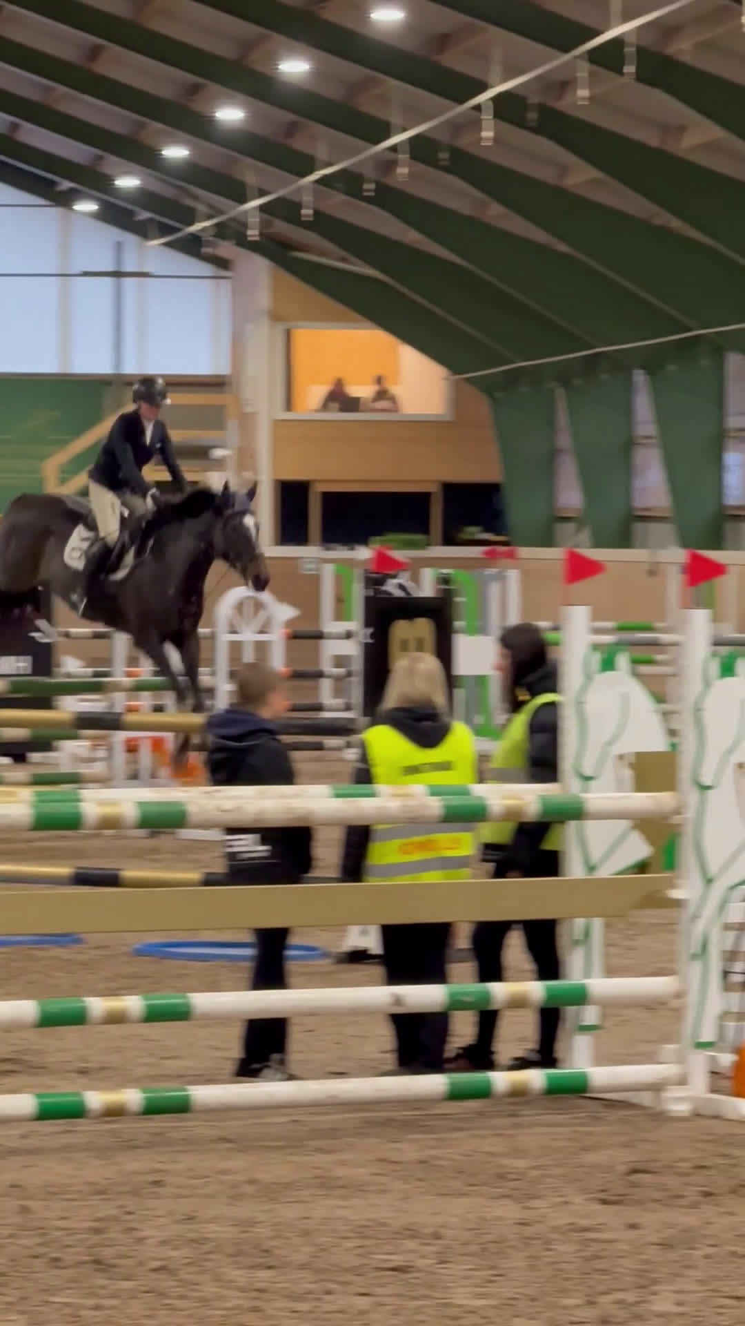 Hoppning hästar till salu: Tuff tjej i lyxförpackning  i Rimforsa - Video 1