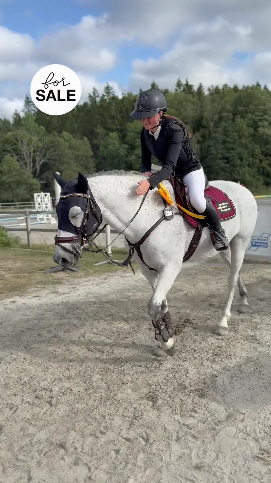Hoppning hästar till salu: Maxad D-ponny  - Video 1