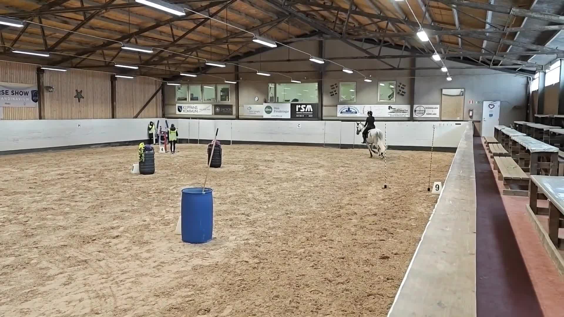 Working Equitation hästar till salu: Mångsidig PRE-valack i Asmundtorp - Video 2