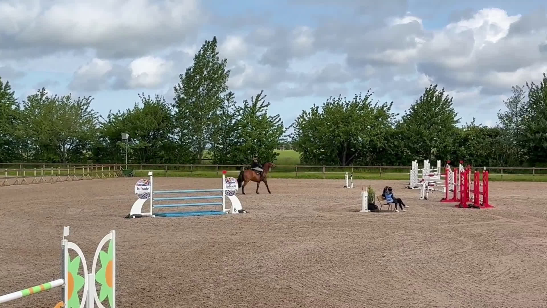 Hoppning hästar till salu: Perfekt läromästare i Tomelilla - Video 4