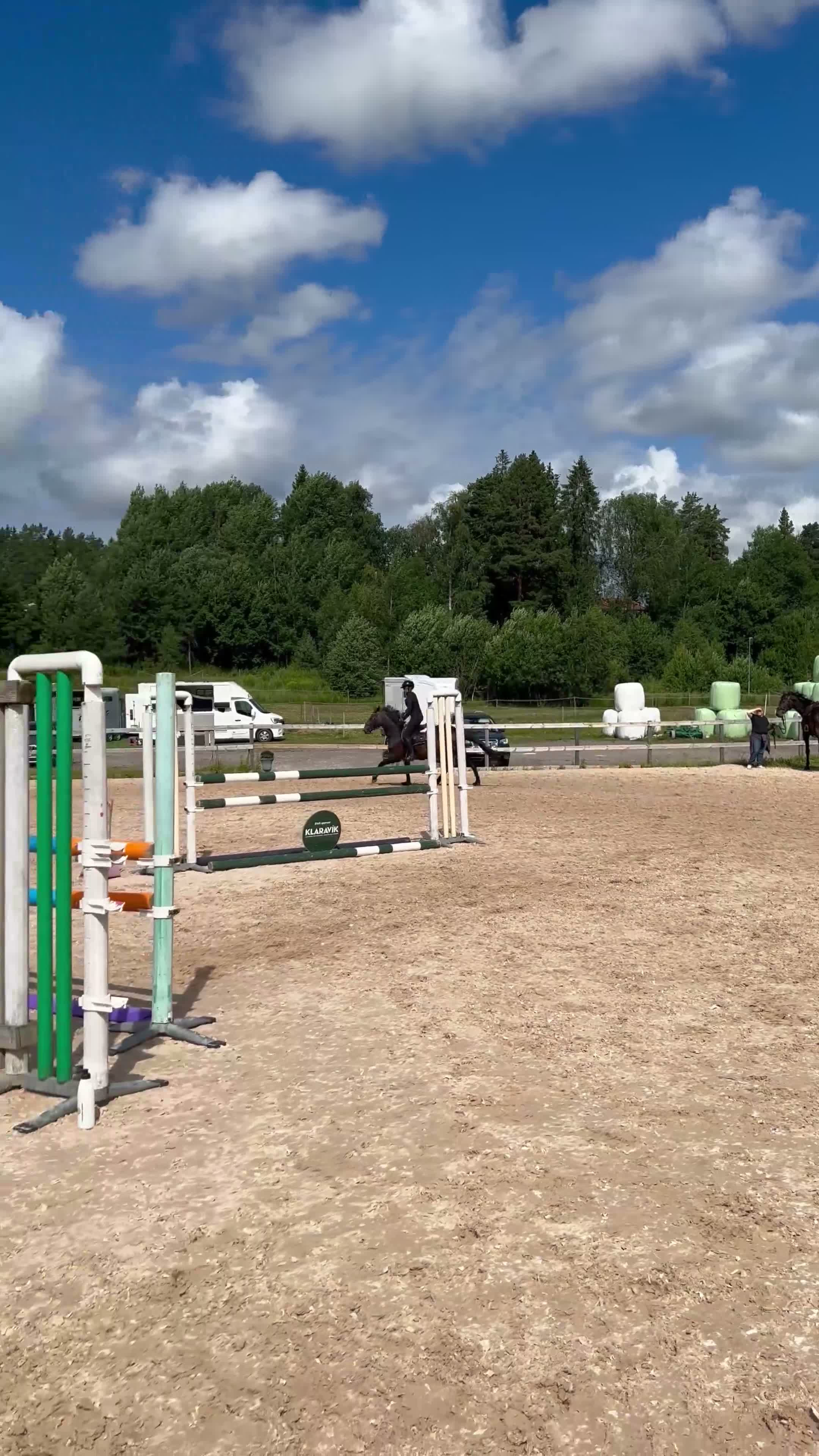 Hoppning hästar till salu: Fantastisk tävlingshäst med ett hjärta av guld - Video 1