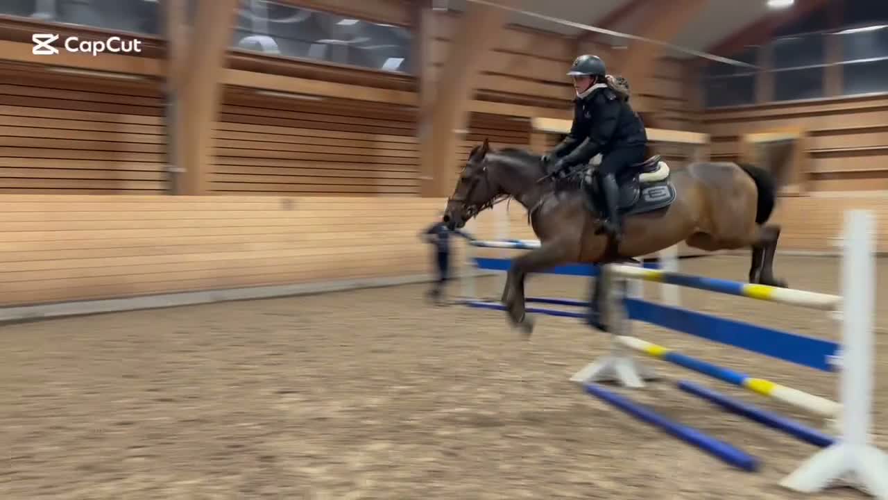 Hoppning hästar till salu: Fantastisk D ponny  i Stockholm - Video 1