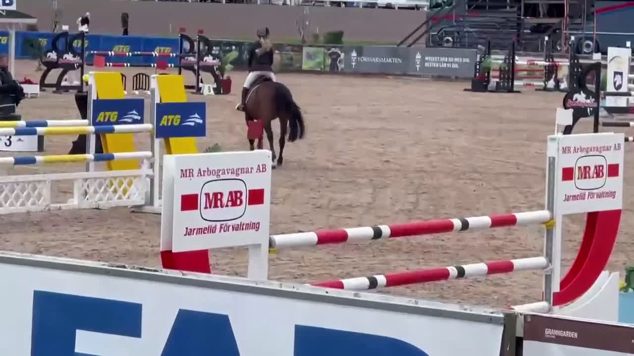 Hoppning hästar till salu: Rutinerad childrens häst  - Video 1