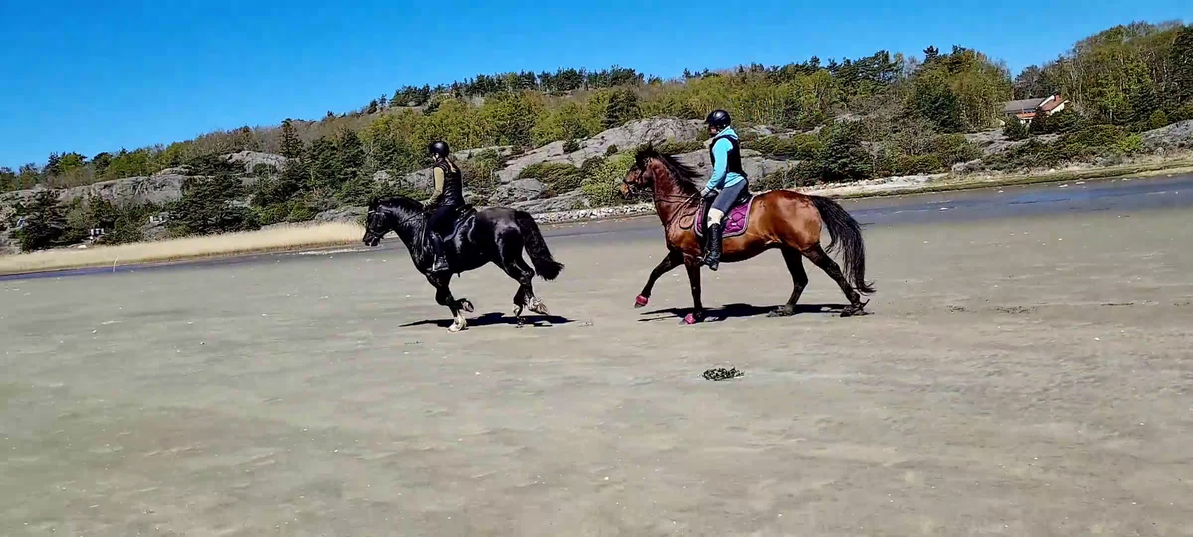  stallplats finnes: Plats på lösdrift finns i Kungsbacka - Video 1