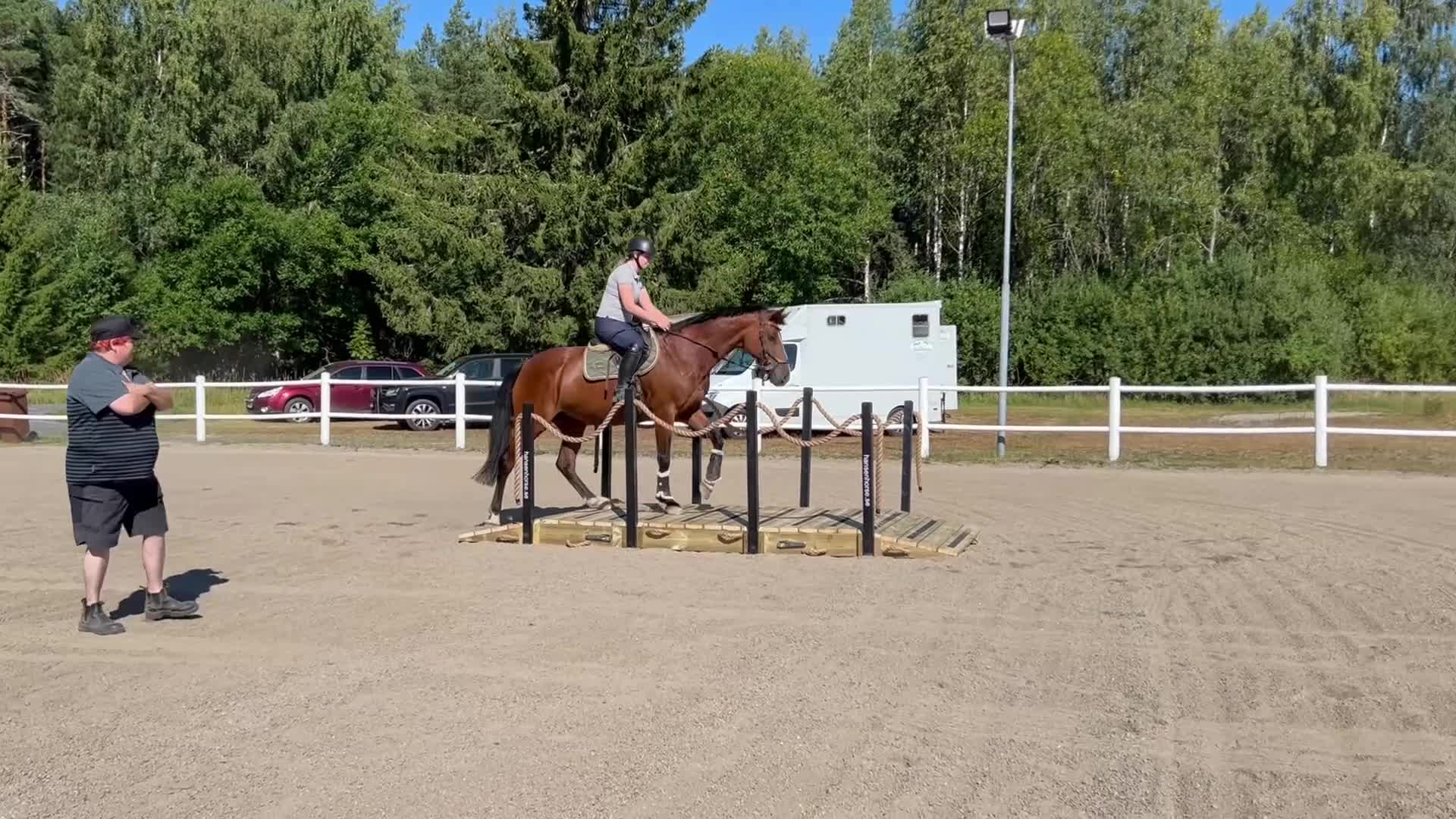 Allround hästar till salu: Dressyr/Avel WE  - Video 4