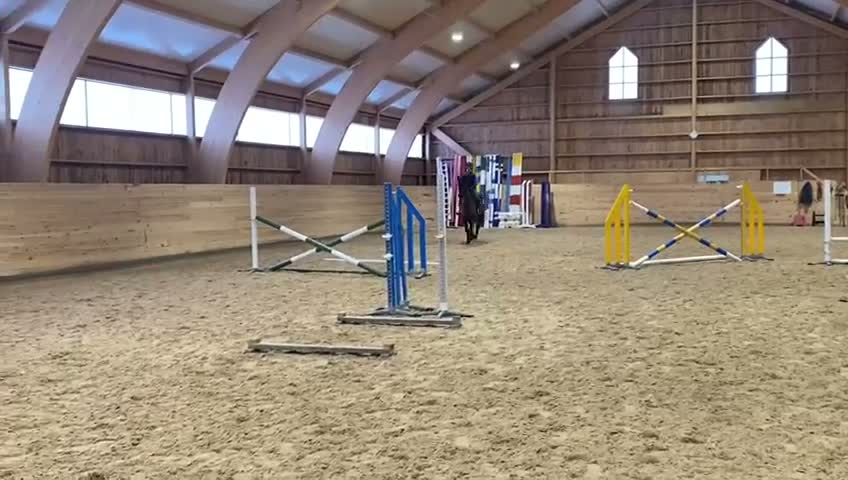 Hoppning hästar till salu: Toppstammad 5 åring - Video 2