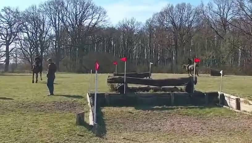 Allround hästar till salu: Allround häst till salu i Löberöd - Video 2