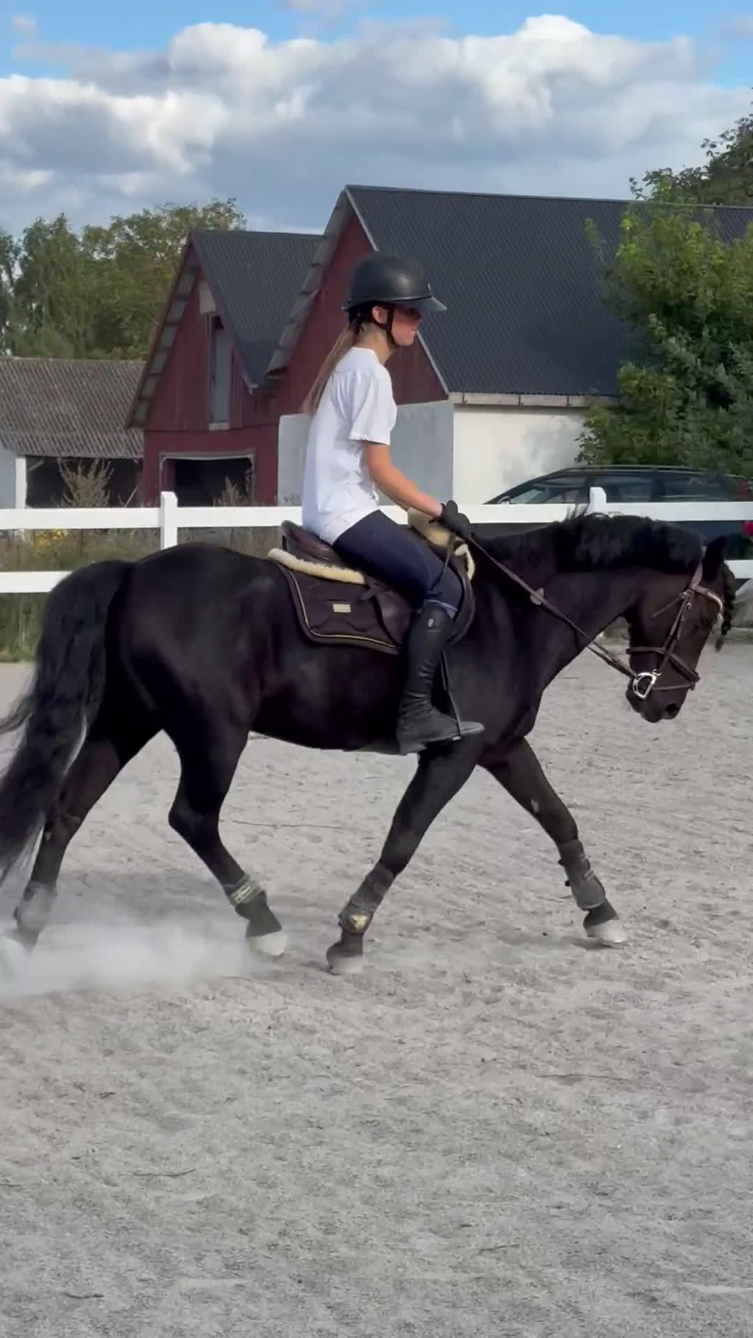 Hoppning hästar till salu: Snäll c-ponny till salu i Bromölla - Video 1