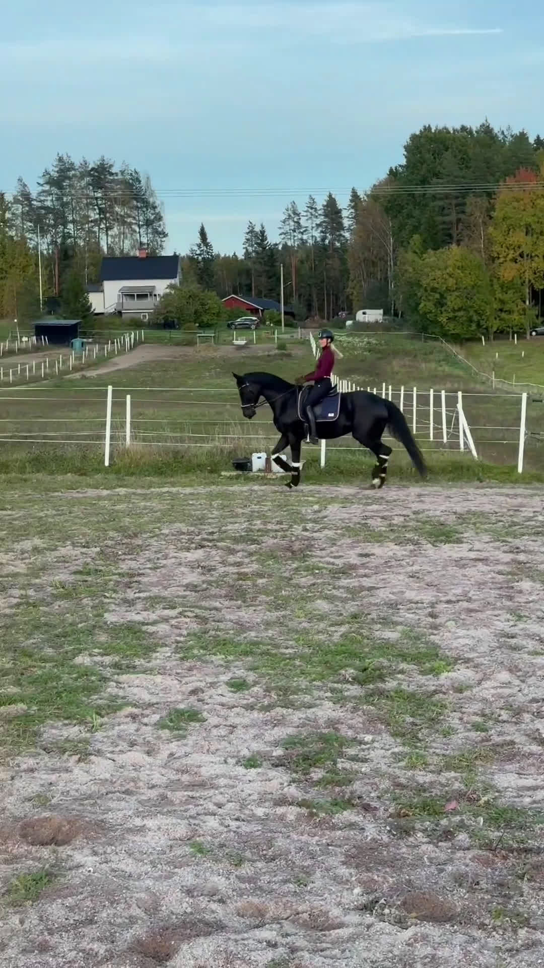 Dressyr hästar till salu: Sto med utstrålning - intressekoll i Storvik - Video 2