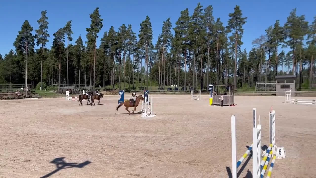 Allround hästar till salu: Allroundponny med stor personlighet❤️ i Huddinge - Video 2