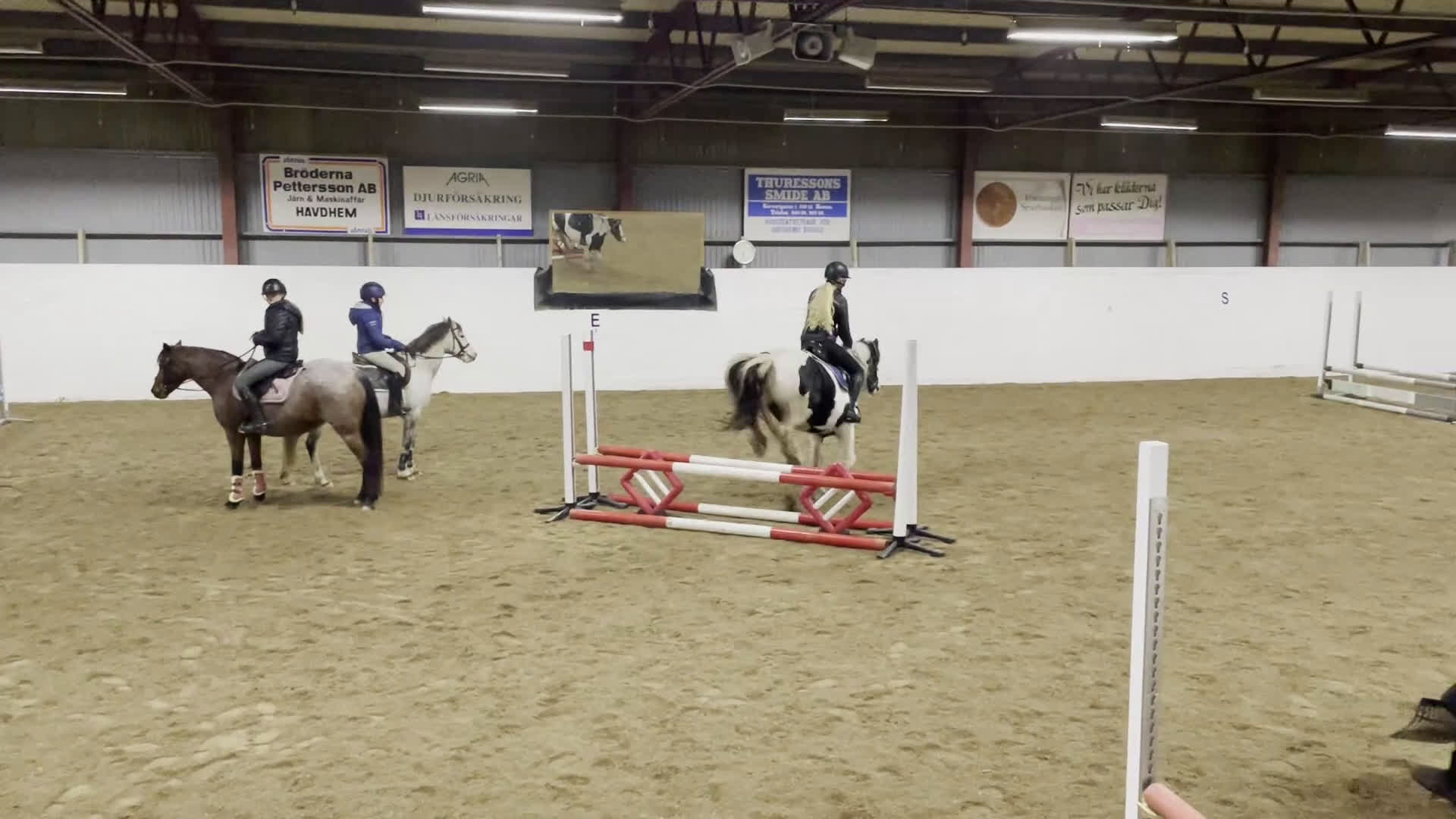 Allround hästar till salu: Rolig hoppglad ponny för rutinerad ryttare i Stånga - Video 1