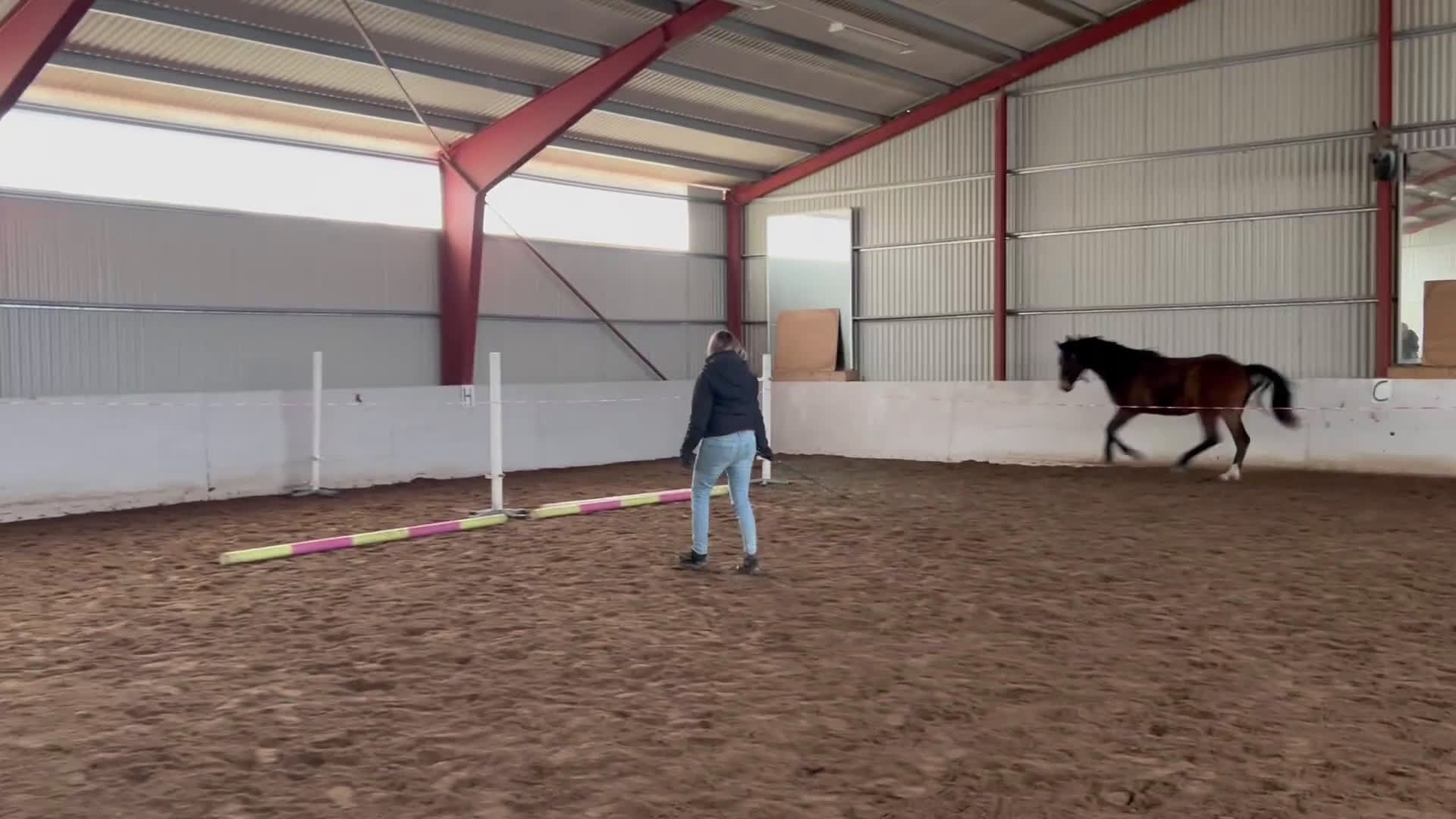 Hoppning hästar till salu: Trevlig 2åring i Gustavsberg - Video 2