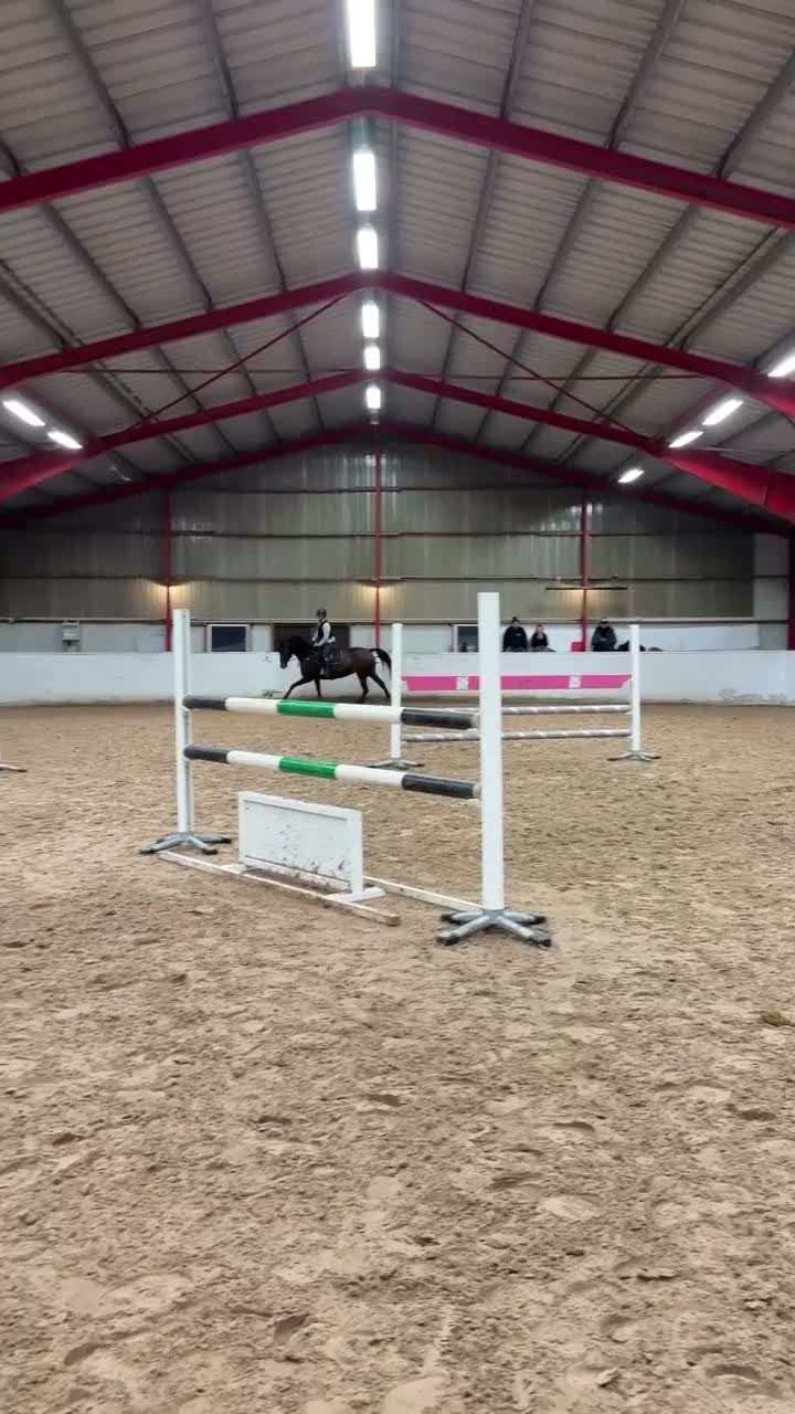 Hoppning hästar till salu: Trevlig hopphäst - Video 3