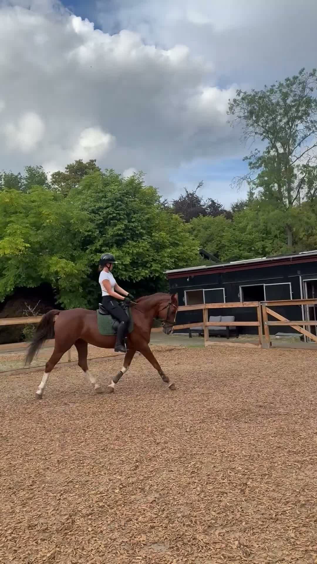 Hoppning hästar till salu: Fantastisk springpony  i Kastrup - Video 1
